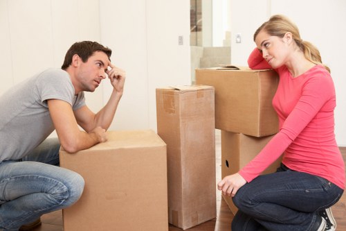 Professional moving service transporting household items locally