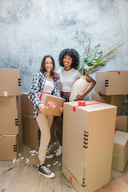 Two movers from Man with Van Southall, dressed in dark work clothing, are inside a bright room with white walls and large arched windows that let in natural light. They are handling large cardboard bo