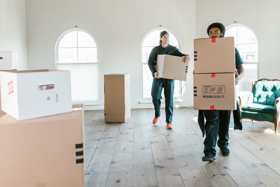 Two movers from Man with Van Southall are engaged in a home relocation process inside a bright, spacious room with white walls and large arched windows that allow natural daylight to illuminate the space. The room contains several cardboard boxes of varying sizes, some sealed with packing tape and others open, indicating active packing and moving. One mover, standing near the right side of the image, is carrying a medium-sized cardboard box labeled for a furniture transport or packing and moving task, while the other, towards the background, is holding a smaller box and walking toward the remaining boxes. The floor is wooden, clean, and free of debris, supporting the loading process. The background features a vintage-style armchair with a green cushion, positioned near the window, and the open-plan setting suggests preparation for transport or loading into a moving vehicle, which is partially visible outside the frame. The scene captures the logistics involved in house removals, with careful handling of household items during a busy moving day.